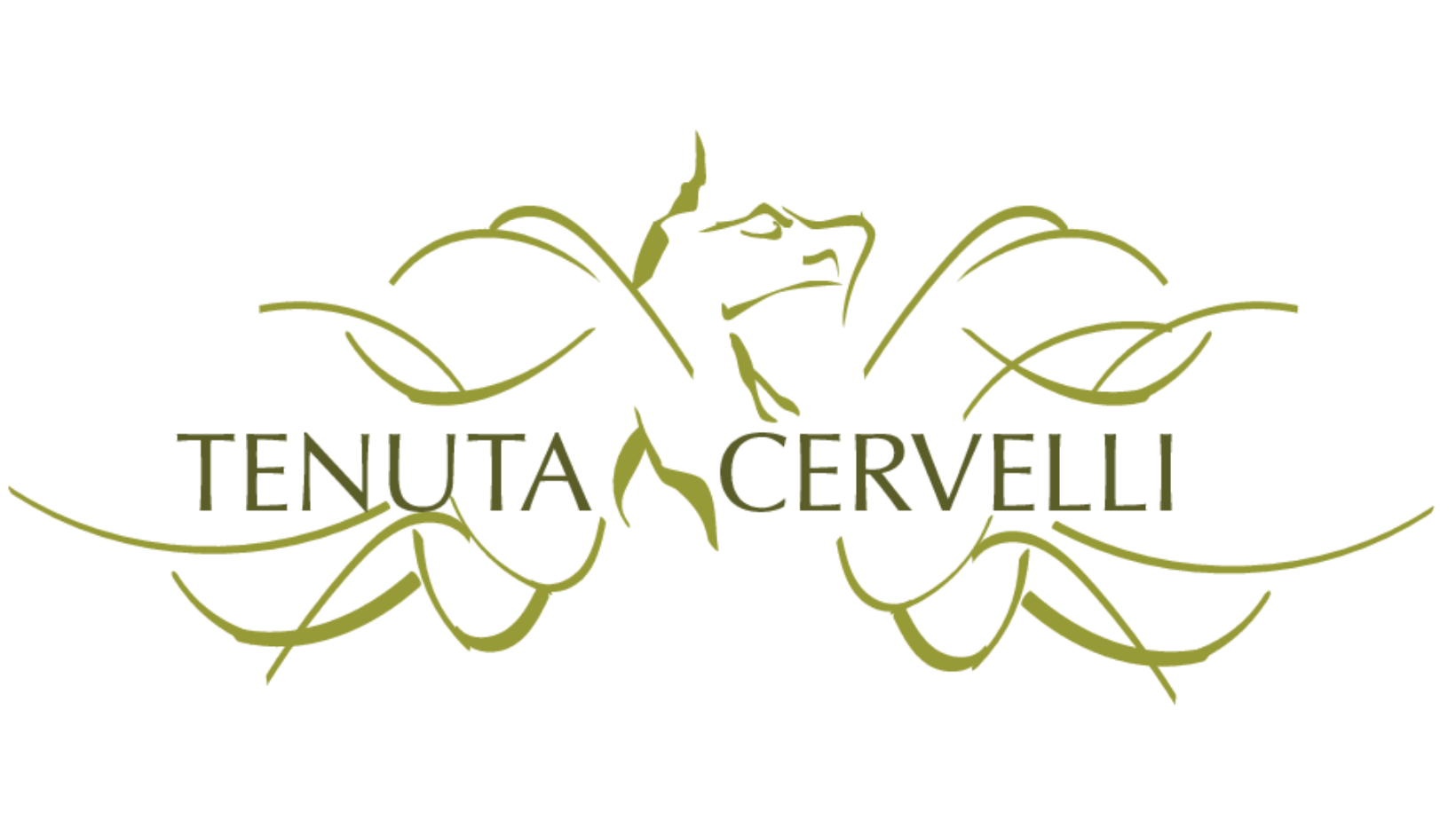 Società Agricola Le 4 Cantine S.r.l.